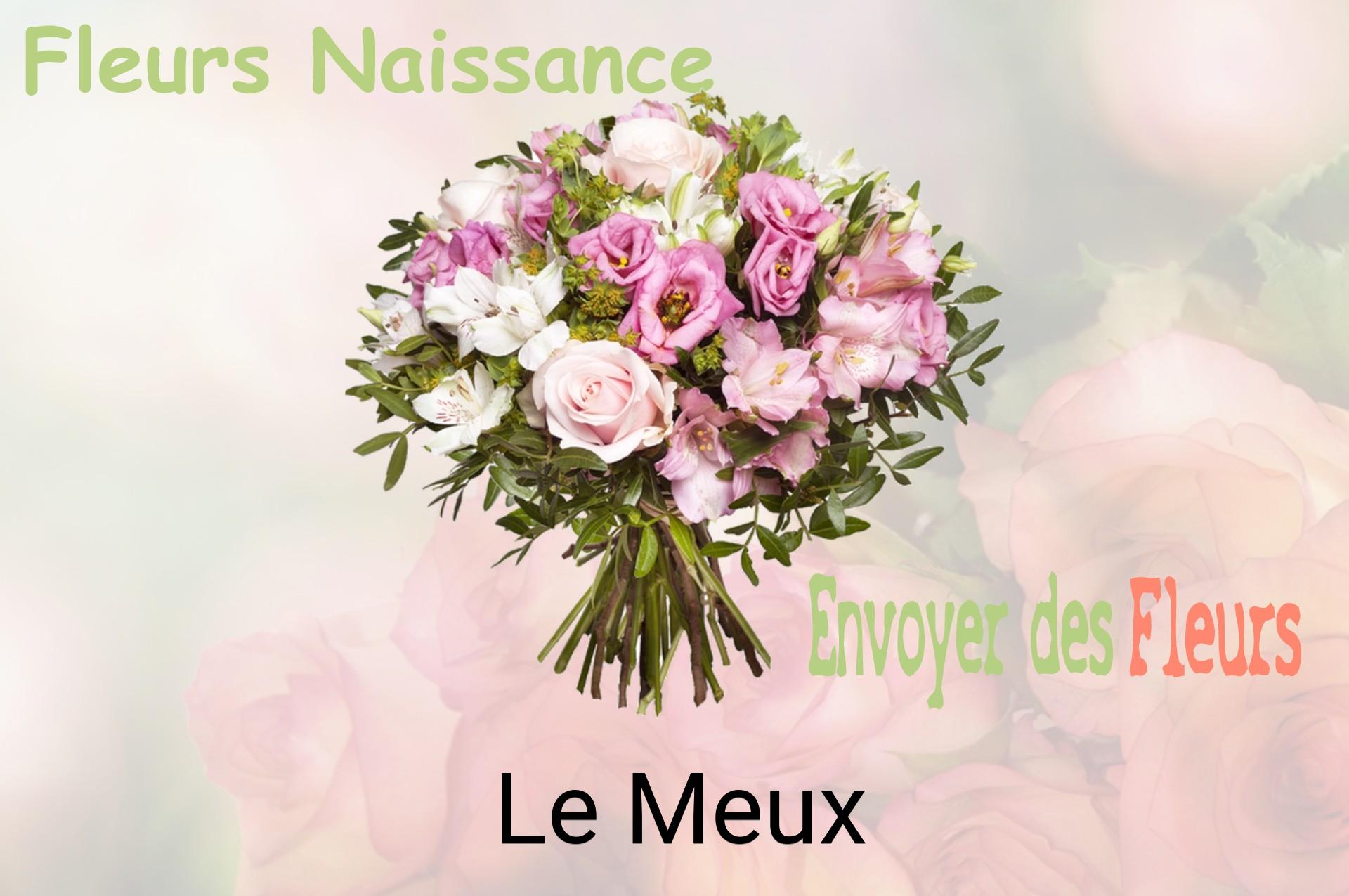 Bouquet de fleurs de naissance livré à Le Meux